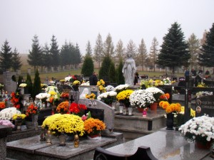 01179_Nowotaniec_2011