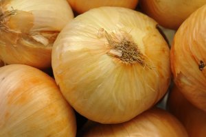 Onion_2