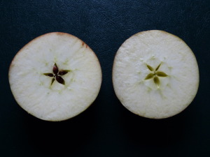 P1130943