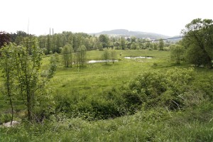 Votocnice