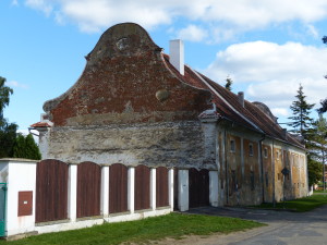 P1010582