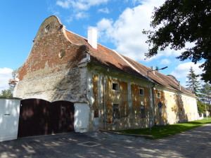 P1010593
