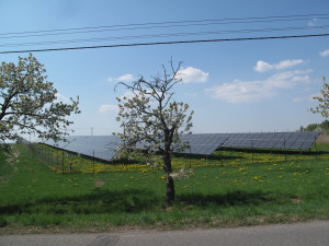 Dezidor